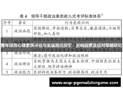 青年球员心理素质评估与发展路径探索：影响因素及应对策略研究