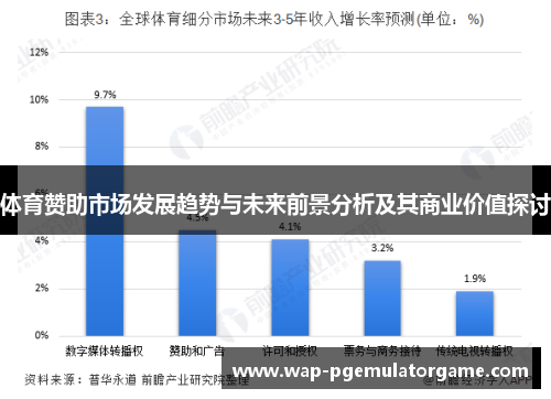 体育赞助市场发展趋势与未来前景分析及其商业价值探讨