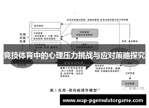 竞技体育中的心理压力挑战与应对策略探究