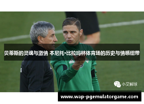 贝蒂斯的灵魂与激情 本尼托·比拉玛林体育场的历史与情感纽带