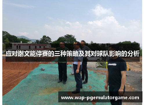 应对谢文能停赛的三种策略及其对球队影响的分析
