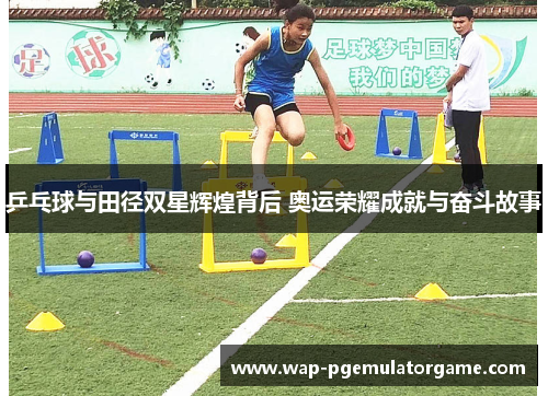乒乓球与田径双星辉煌背后 奥运荣耀成就与奋斗故事