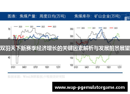 双羽天下新赛季经济增长的关键因素解析与发展前景展望