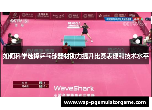 如何科学选择乒乓球器材助力提升比赛表现和技术水平
