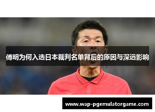 傅明为何入选日本裁判名单背后的原因与深远影响