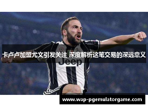 卡卢卢加盟尤文引发关注 深度解析这笔交易的深远意义