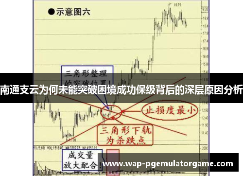 南通支云为何未能突破困境成功保级背后的深层原因分析