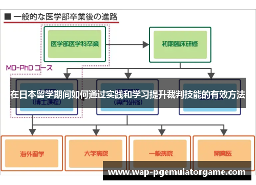 在日本留学期间如何通过实践和学习提升裁判技能的有效方法