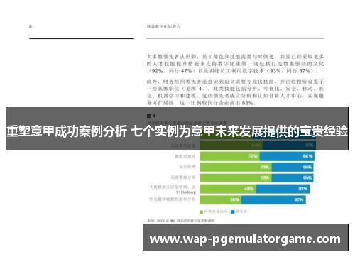 重塑意甲成功案例分析 七个实例为意甲未来发展提供的宝贵经验