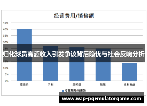 归化球员高额收入引发争议背后隐忧与社会反响分析