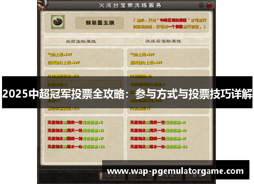 2025中超冠军投票全攻略：参与方式与投票技巧详解
