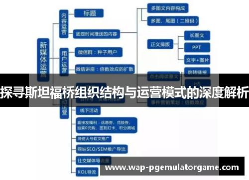 探寻斯坦福桥组织结构与运营模式的深度解析