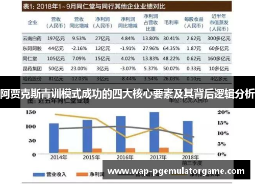 阿贾克斯青训模式成功的四大核心要素及其背后逻辑分析