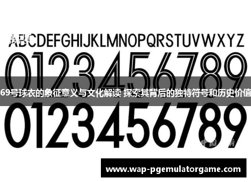 69号球衣的象征意义与文化解读 探索其背后的独特符号和历史价值