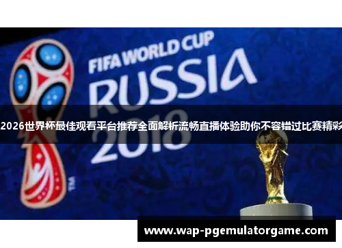 2026世界杯最佳观看平台推荐全面解析流畅直播体验助你不容错过比赛精彩