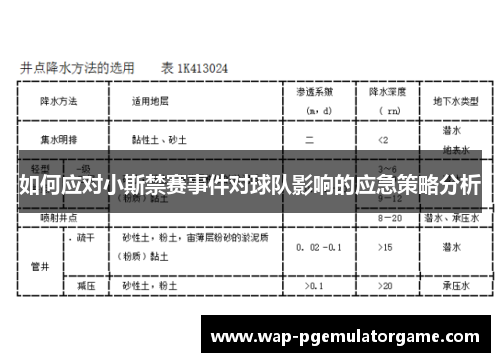 如何应对小斯禁赛事件对球队影响的应急策略分析