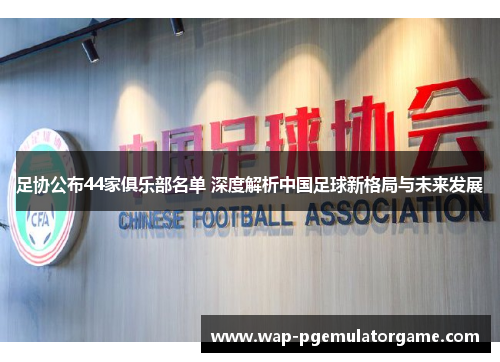 足协公布44家俱乐部名单 深度解析中国足球新格局与未来发展
