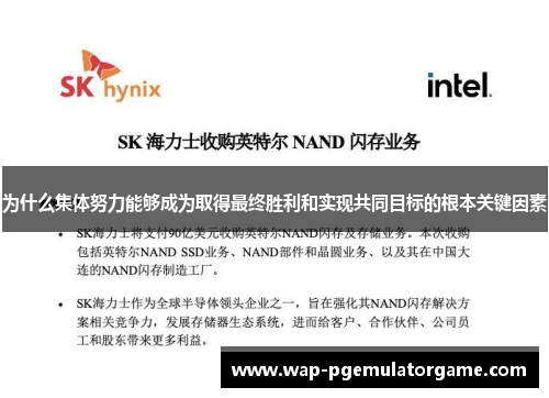 为什么集体努力能够成为取得最终胜利和实现共同目标的根本关键因素
