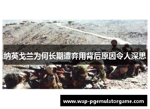 纳英戈兰为何长期遭弃用背后原因令人深思