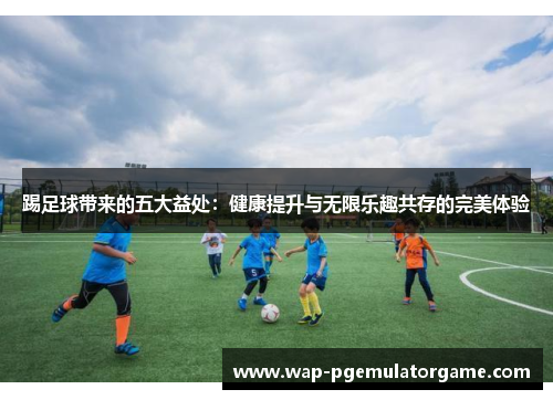 踢足球带来的五大益处：健康提升与无限乐趣共存的完美体验