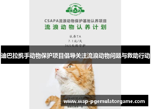 迪巴拉携手动物保护项目倡导关注流浪动物问题与救助行动