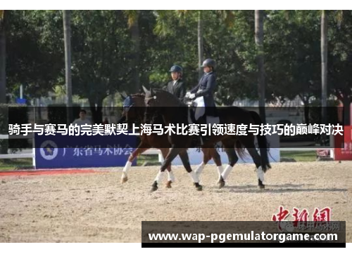 骑手与赛马的完美默契上海马术比赛引领速度与技巧的巅峰对决