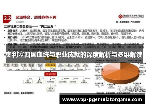 奥利塞四国血统与职业成就的深度解析与多维解读