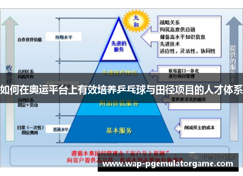如何在奥运平台上有效培养乒乓球与田径项目的人才体系 如何在奥运平台上有效培养乒乓球与田径项目的人才体系