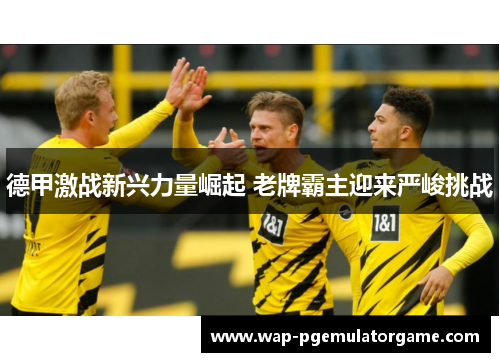 德甲激战新兴力量崛起 老牌霸主迎来严峻挑战