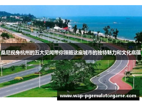 桑尼现身杭州的五大见闻带你领略这座城市的独特魅力和文化底蕴